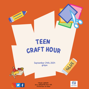 Teen Craft Hour: Fel